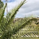 55 Noto