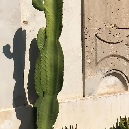 55 * Noto